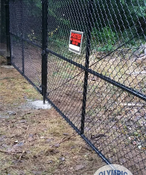 Chain Link Gate in Auburn